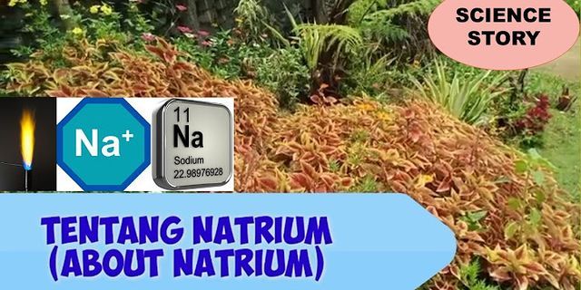 Apa fungsi natrium dalam tubuh