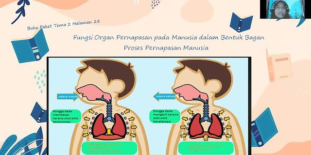 Apa fungsi organ organ tersebut dalam sistem pernapasan