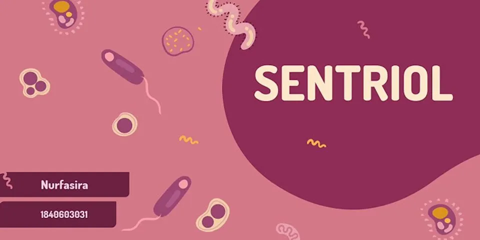 Apa fungsi sentriol pada sel tumbuhan