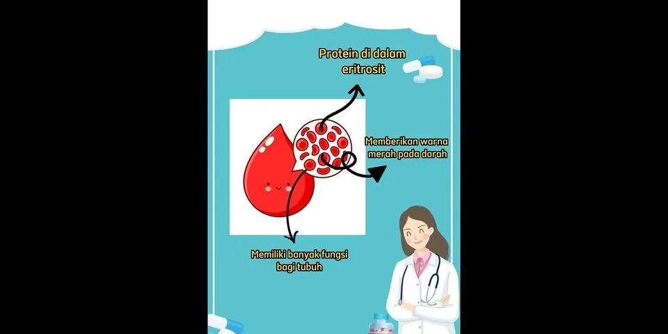Apa itu hemoglobin dan apa fungsinya