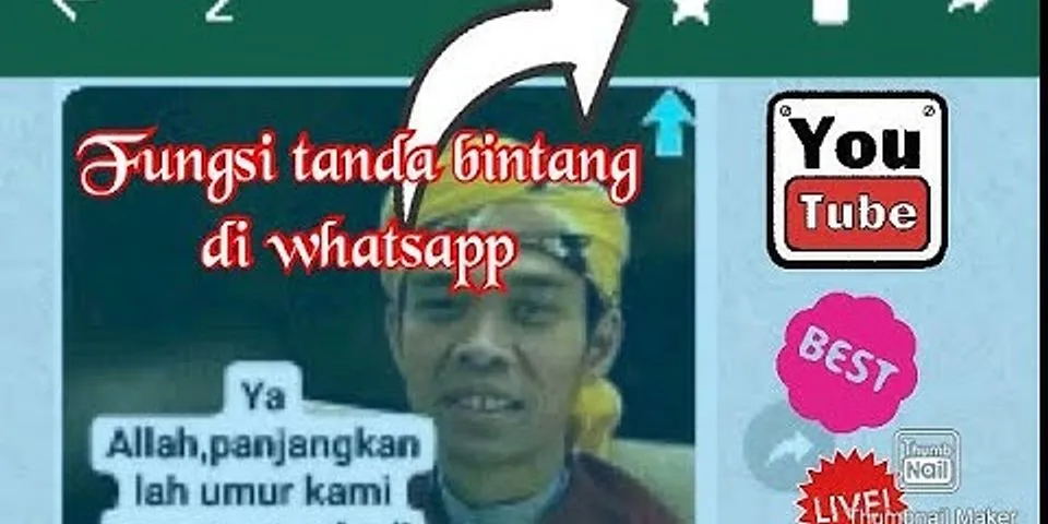 Apa maksud pesan berbintang di whatsapp