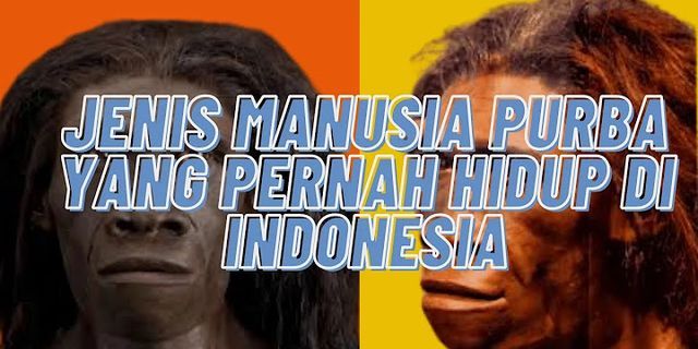 Apa nama manusia purba tertua di Indonesia jelaskan arti namanya?