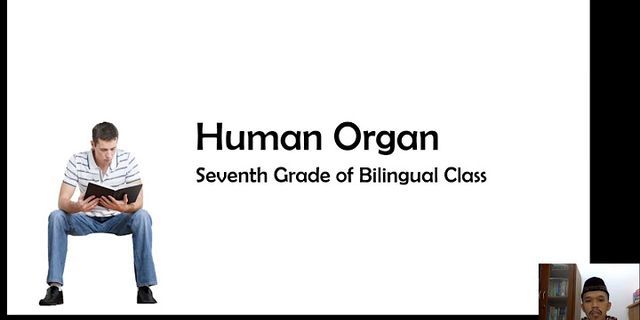 Apa nama sistem organ yang tersusun atas organ organ tersebut
