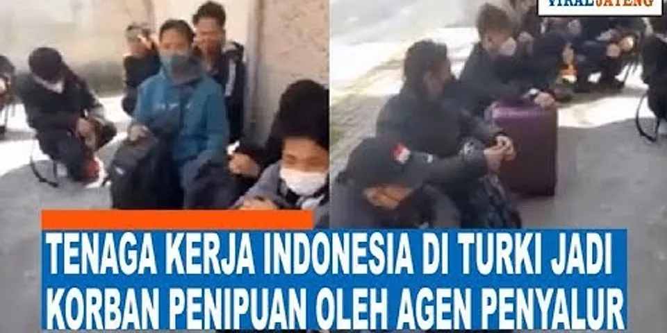Apa pendapat anda tentang agen tenaga kerja di indonesia