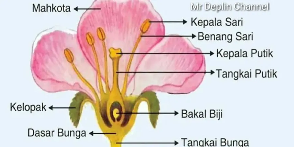 Apa saja bagian bunga yang berperan dalam proses penyerbukan?