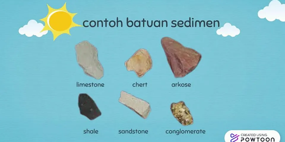 Apa saja jenis jenis batuan yang terdapat di permukaan bumi?