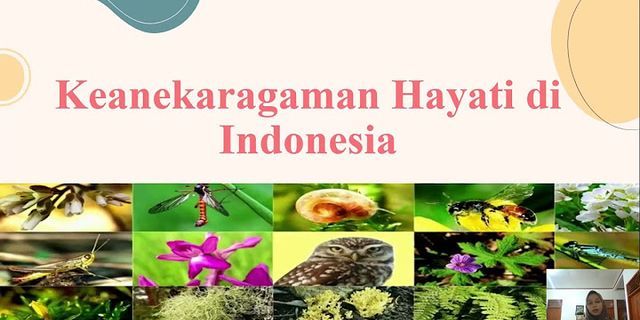 Apa saja kegiatan manusia yang menyebabkan berkurangnya keanekaragaman hayati Indonesia?