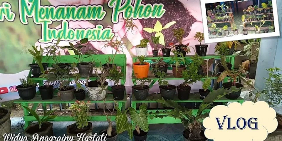 Apa tujuan peringatan hari menanam pohon indonesia