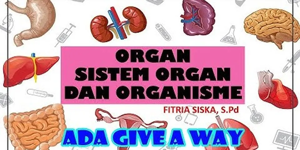 Apa yang anda ketahui tentang sistem organ dan organisme