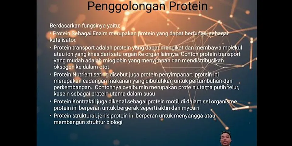 Apa yang berfungsi mengikat protein dalam darah