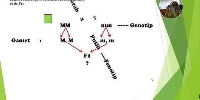 Keturunan dari monohibrid aa macam pada aa jumlah adalah persilangan genotipe dan Rasio Hasil