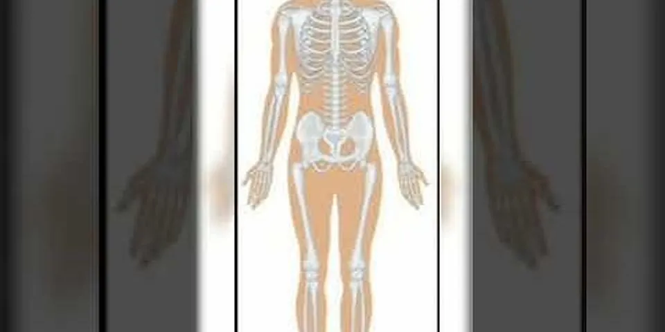 Apa yang dimaksud anatomi manusia jelaskan