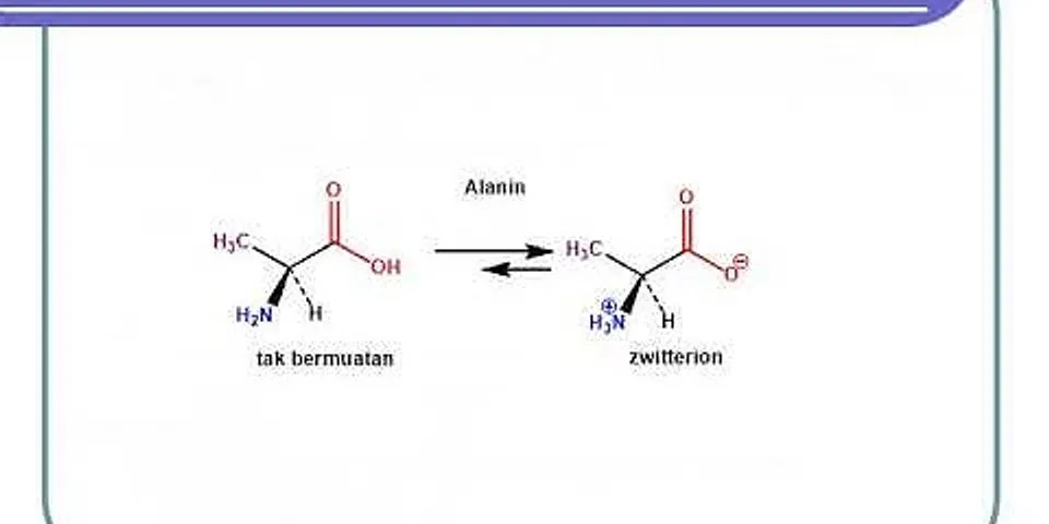 Apa yang dimaksud dengan asam amino dan berikan contohnya?