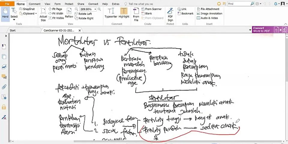 Apa yang dimaksud dengan fertilitas