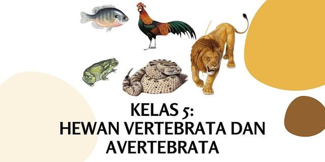 Apa yang dimaksud dengan hewan vertebrata dan hewan avertebrata?