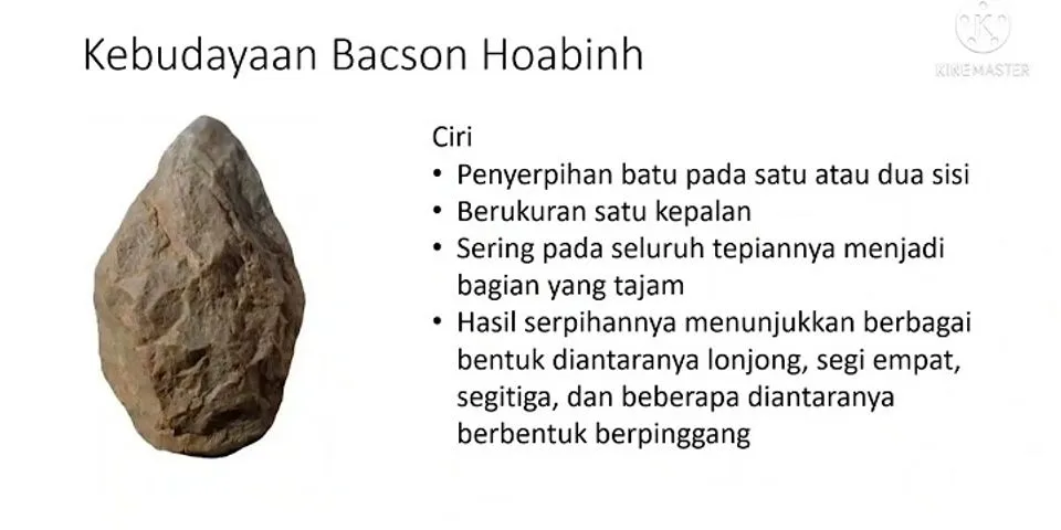 Apa yang dimaksud dengan kebudayaan Bacson-Hoabinh Dongson dan Sahuynh?
