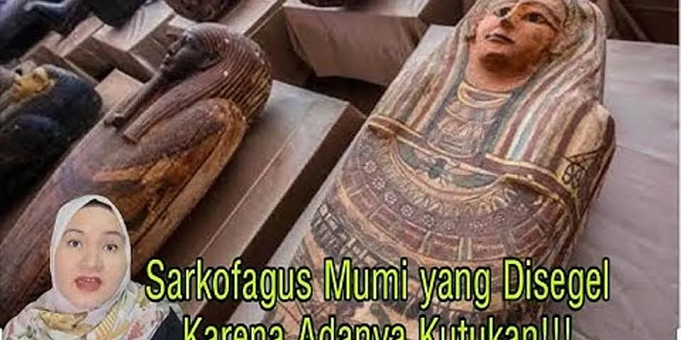 Apa yang dimaksud dengan sarkofagus