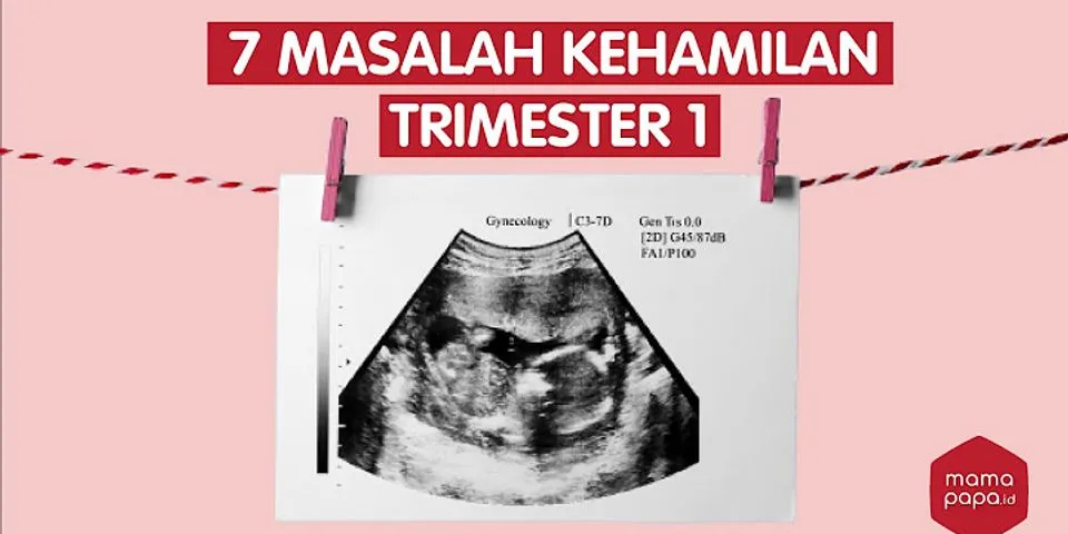 Apa yang dimaksud dengan trimester pertama kehamilan