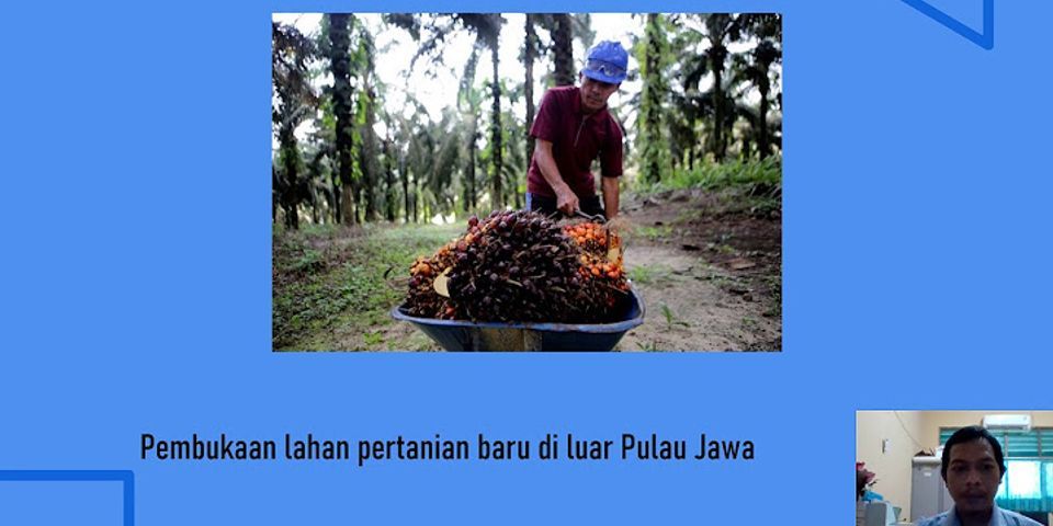 Apa yang harus dilakukan untuk meningkatkan agrikultur di Indonesia