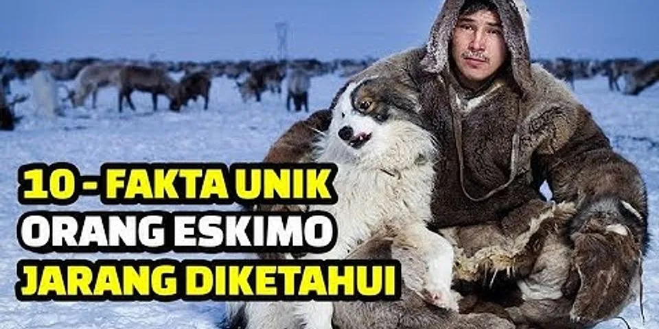 Apa yang kamu ketahui tentang orang eskimo
