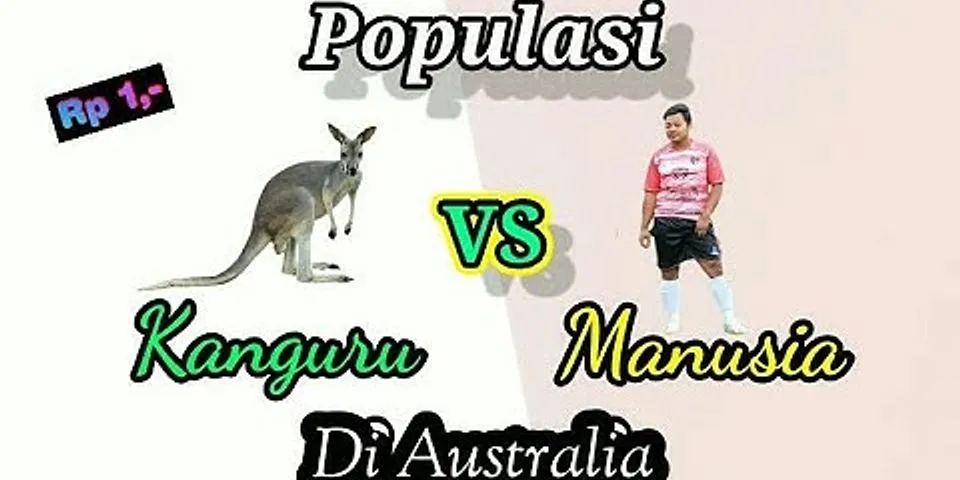 Apa yang orang sebut kanguru terbesar