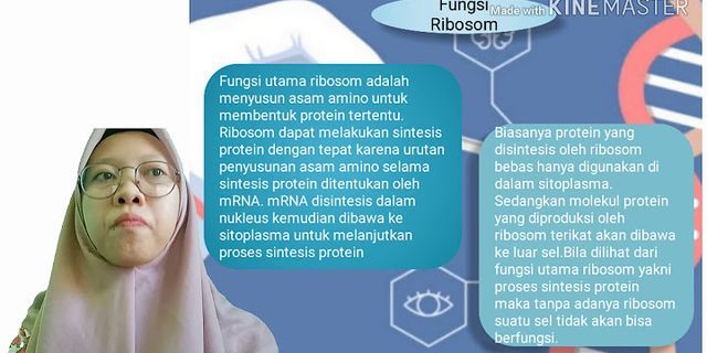 Apakah fungsi ribosom dan retikulum endoplasma dalam sintesis protein?