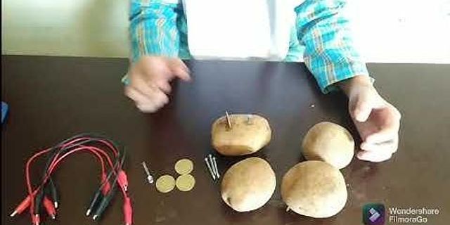 Bagaimana cara membuat sumber energi listrik alternatif dengan menggunakan kentang?