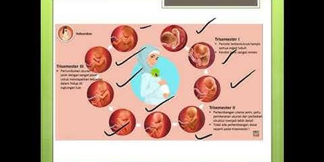 Bagaimana embrio dalam rahim mendapatkan makanan dan oksigen jelaskan