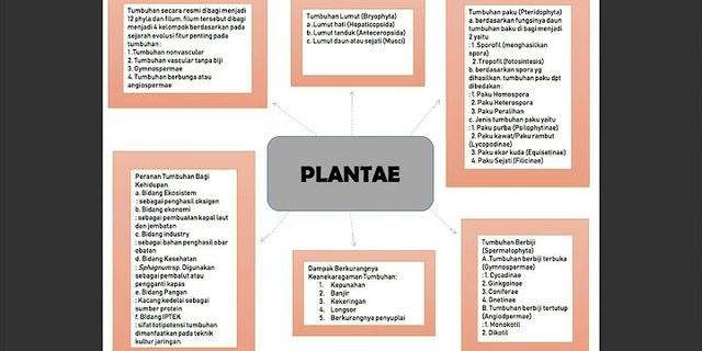 Bagaimana peran Plantae dalam bidang kesehatan