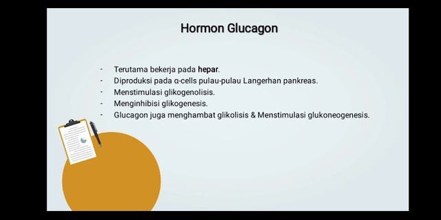 Bagaimana proses terbentuknya glikogen dan fungsinya dalam tubuh manusia