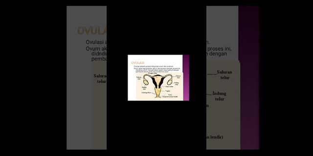 Proses berfungsi pada kelamin spermatogenesis untuk temperatur luar yang pria adalah organ mengatur Sistem Reproduksi