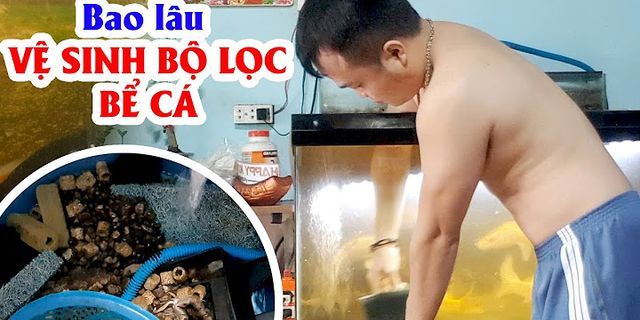 Bao lâu thì vệ sinh lọc bể cá