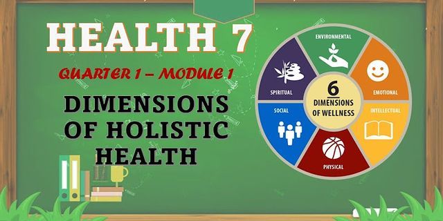 Based on the diagram shown above, enumerate the dimensions of holistic health