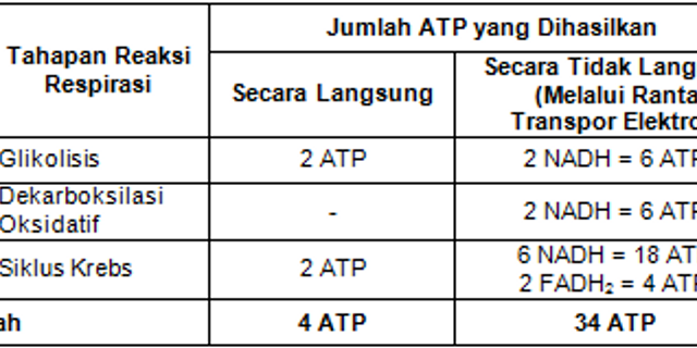 Top 9 Berapa Jumlah Atp Yang Dihasilkan Pada Fermentasi Asam Laktat 2022