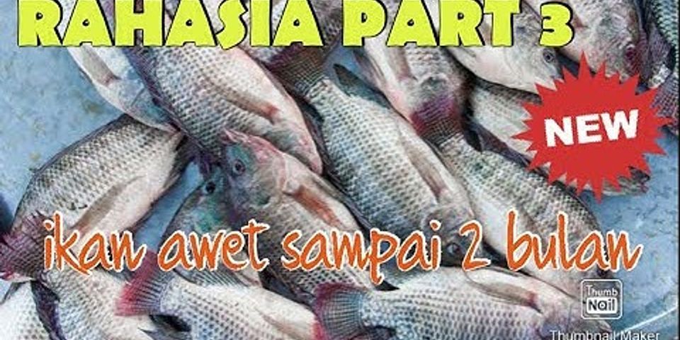 Berapa lama ikan tahan di kulkas