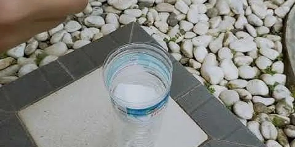 Berikut ini bahan alami yang dibutuhkan dalam pembuatan alat penjernih air