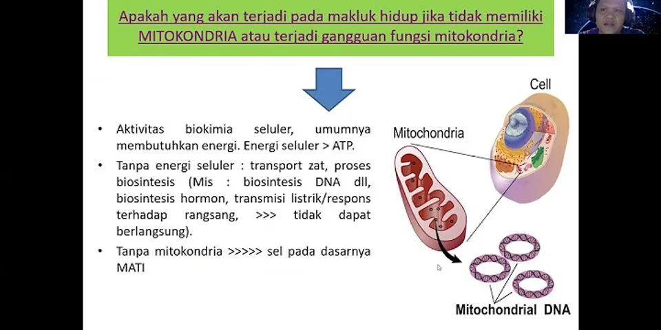 Berikut ini merupakan Gambar struktur mitokondria bagian x berfungsi untuk