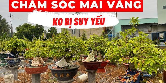 Biện pháp phòng trừ chủ yếu nhất trong phòng trừ tổng hợp dịch hại cây trồng là