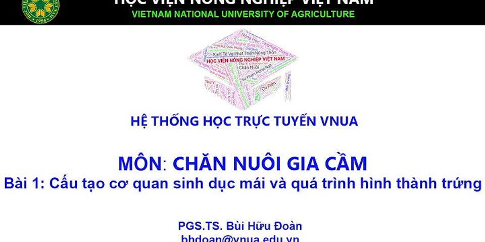 Bộ phận sinh dục của gà mái nằm ở đâu