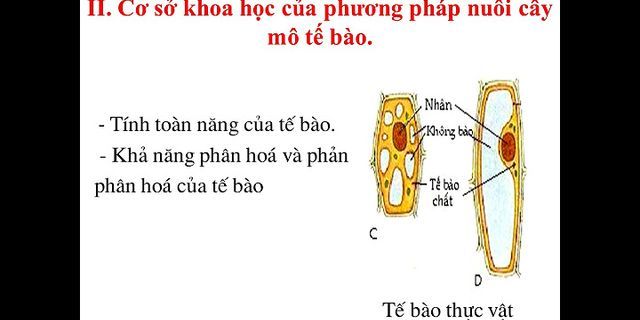 Các loại cây lâm nghiệp thường được nhân giống bằng Công nghệ nuôi cấy mô