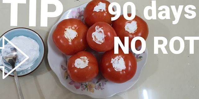 Cách bảo quản cà chua bị trong tủ lạnh