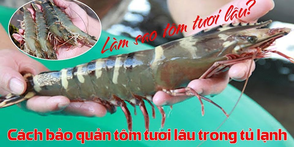 Cách bảo quản tôm tươi lâu