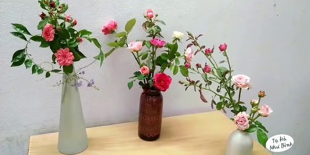 cách cắm hoa hồng 10 bông
