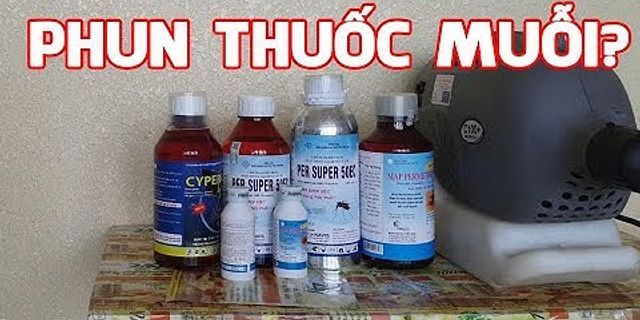 Cách khử mùi thuốc xịt côn trùng