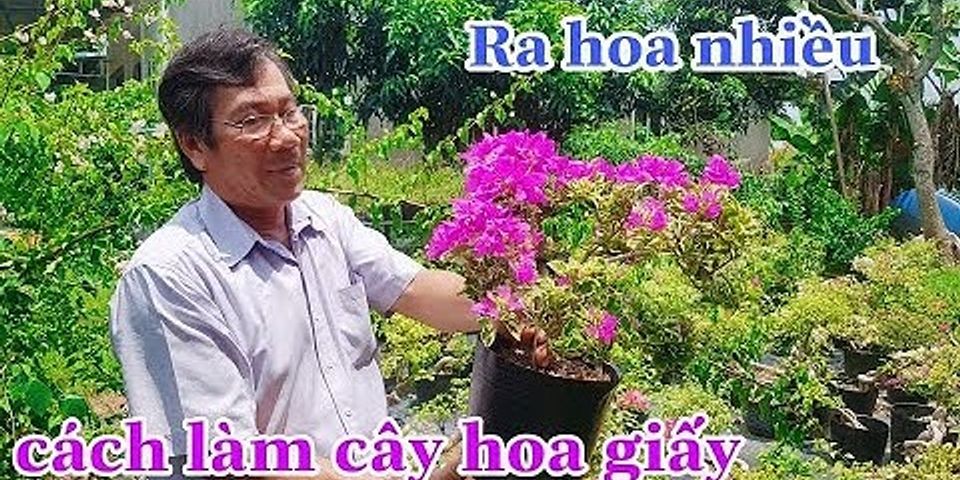 Cách làm bông giấy ra hoa