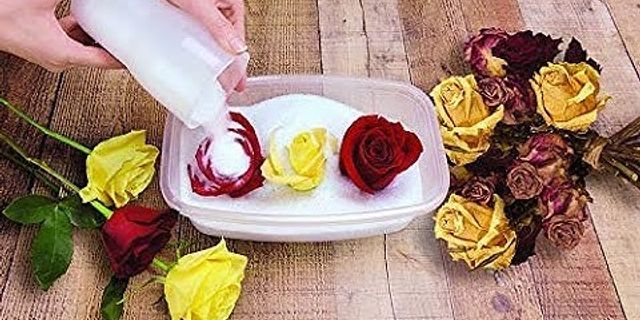 Cách làm cánh hoa hồng khô