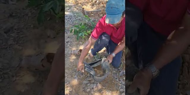 Cách lộn lốp xe máy