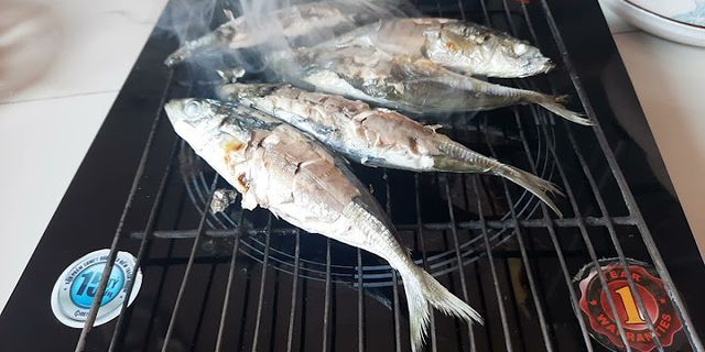 Cách nướng cá bằng bếp điện