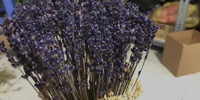 Cách sử dụng hoa Lavender khô