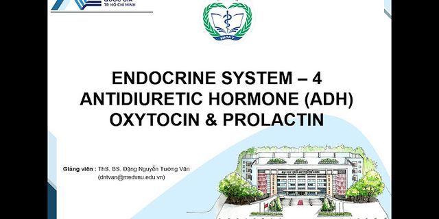 Cách tăng hormone prolactin